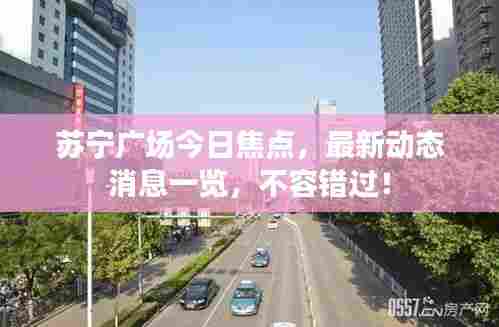 苏宁广场今日焦点,最新动态消息一览,不容错过!