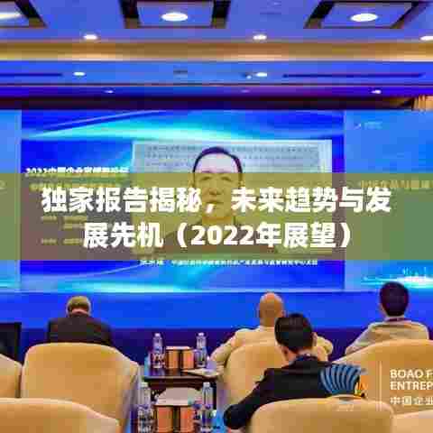 独家报告揭秘,未来趋势与发展先机(2022年展望)