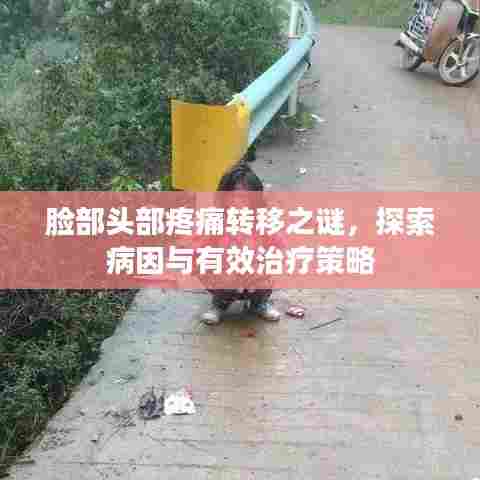 脸部头部疼痛转移之谜,探索病因与有效治疗策略