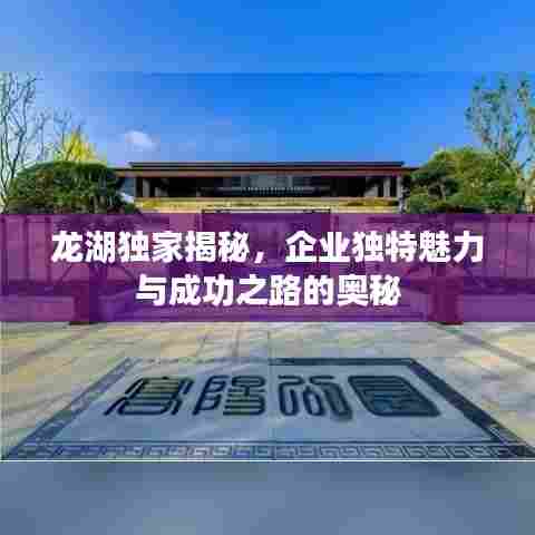 龙湖独家揭秘,企业独特魅力与成功之路的奥秘