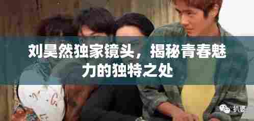 刘昊然独家镜头,揭秘青春魅力的独特之处