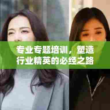 专业专题培训,塑造行业精英的必经之路