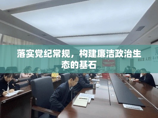 落实党纪常规,构建廉洁政治生态的基石