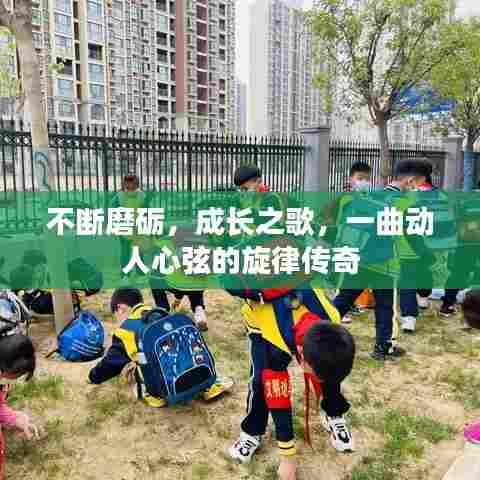 不断磨砺,成长之歌,一曲动人心弦的旋律传奇