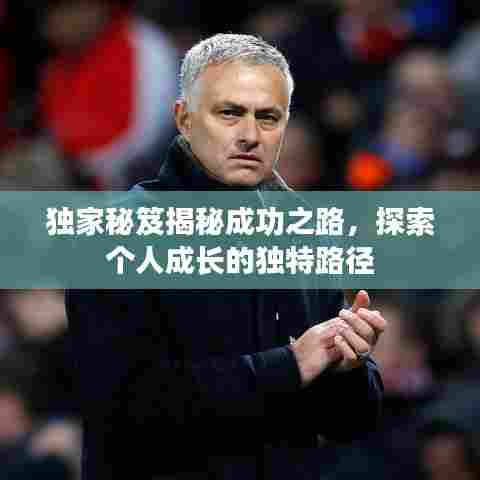 独家秘笈揭秘成功之路,探索个人成长的独特路径