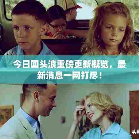 今日回头浪重磅更新概览,最新消息一网打尽!