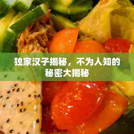 独家汉子揭秘,不为人知的秘密大揭秘