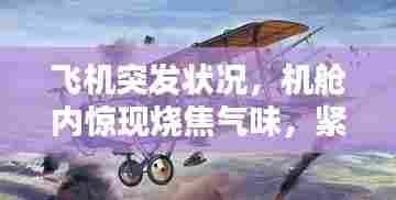 飞机突发状况,机舱内惊现烧焦气味,紧急应对时刻!