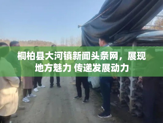 桐柏县大河镇新闻头条网,展现地方魅力 传递发展动力