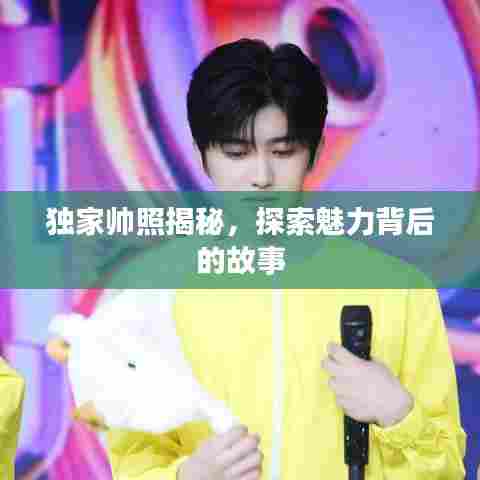 独家帅照揭秘,探索魅力背后的故事