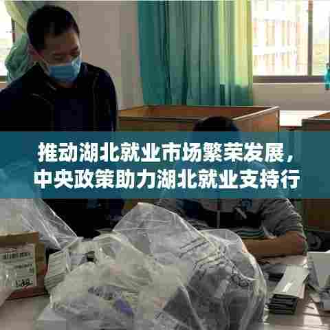 推动湖北就业市场繁荣发展,中央政策助力湖北就业支持行动