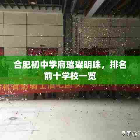 合肥初中学府璀璨明珠，排名前十学校一览