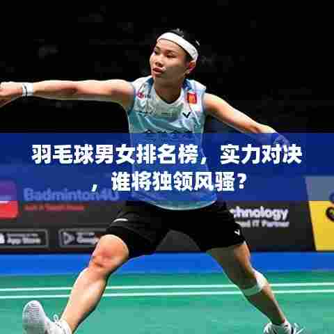 羽毛球男女排名榜,实力对决,谁将独领风骚?