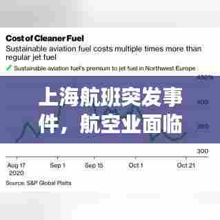 上海航班突发事件,航空业面临的挑战及应对策略