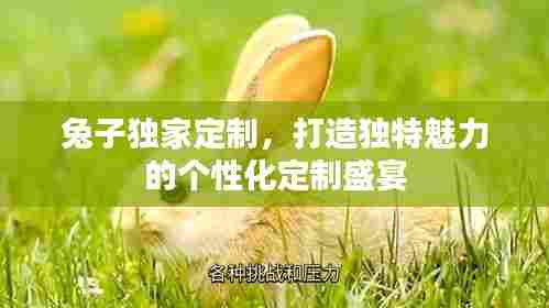 兔子独家定制,打造独特魅力的个性化定制盛宴