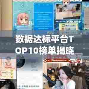 数据达标平台TOP10榜单揭晓,引领行业发展的佼佼者