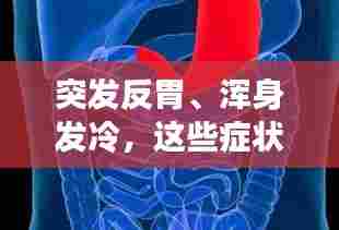 突发反胃、浑身发冷,这些症状的背后隐藏的健康警示