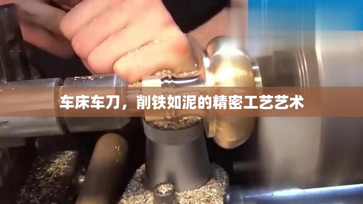 坌鸟先飞 第6页