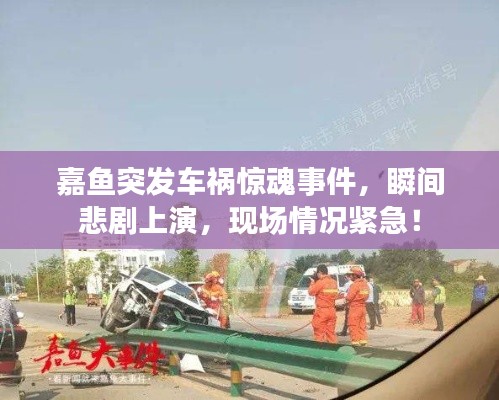 嘉鱼突发车祸惊魂事件,瞬间悲剧上演,现场情况紧急!