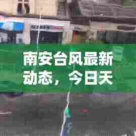 南安台风最新动态,今日天气预警及影响报告