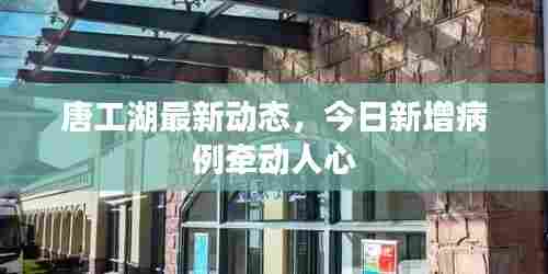 唐工湖最新动态,今日新增病例牵动人心