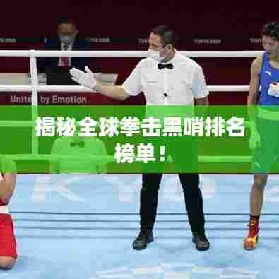 揭秘全球拳击黑哨排名榜单!
