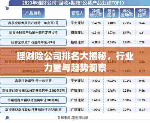 理财险公司排名大揭秘,行业力量与趋势洞察