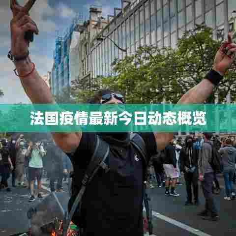 法国疫情最新今日动态概览