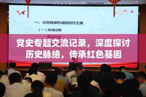 党史专题交流记录,深度探讨历史脉络,传承红色基因