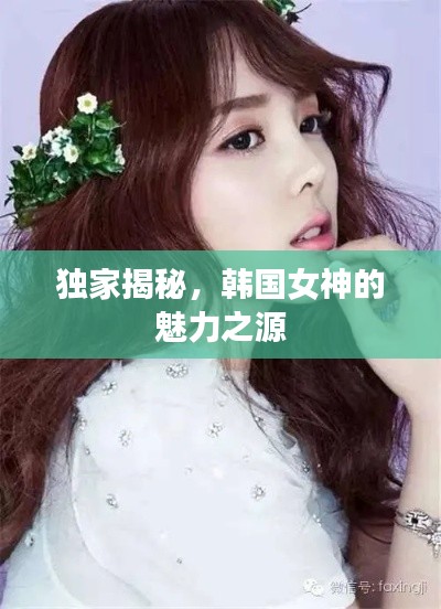 独家揭秘,韩国女神的魅力之源