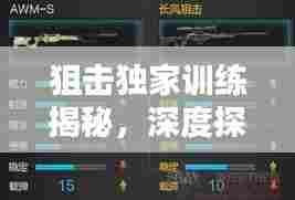 狙击独家训练揭秘,深度探索与实战应用指南