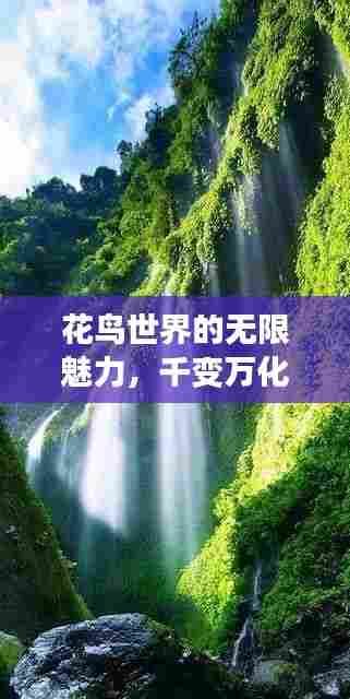 花鸟世界的无限魅力,千变万化,美不胜收