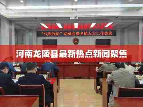 河南龙陵县最新热点新闻聚焦