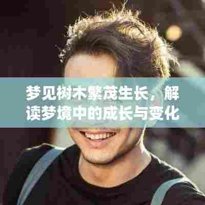 梦见树木繁茂生长,解读梦境中的成长与变化象征