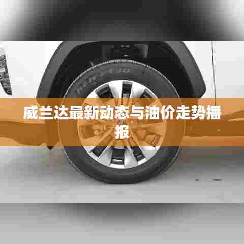 威兰达最新动态与油价走势播报