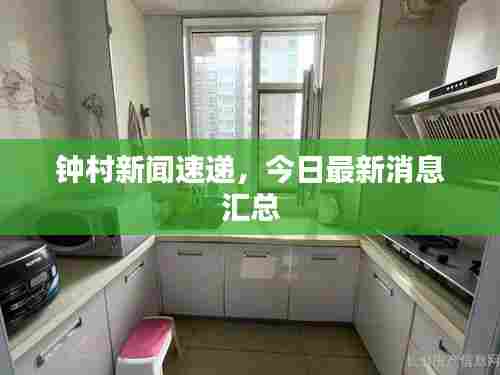 钟村新闻速递，今日最新消息汇总