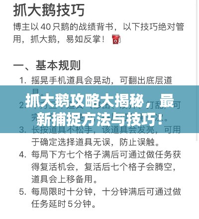 抓大鹅攻略大揭秘,最新捕捉方法与技巧!