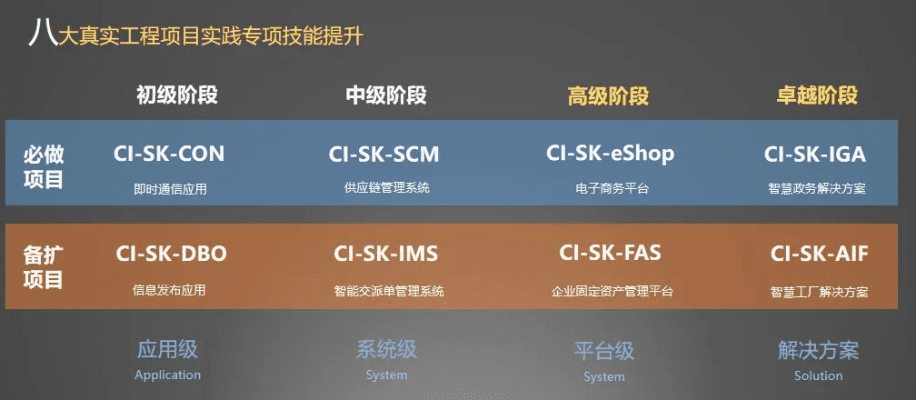 为什么你应该选择阿里版本,多元化策略执行战略版_v6.936?