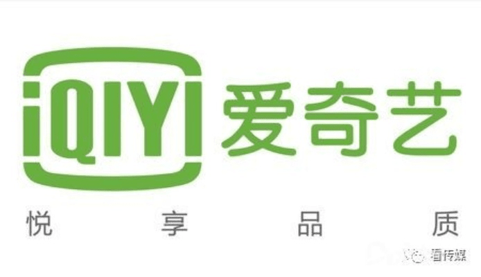 专业级工具,爱奇艺5.0版本,高效设计策略_网页版1_v3.480深度解析