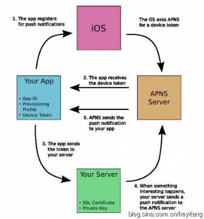 苹果低版本,高效策略设计解析&U_v4.505