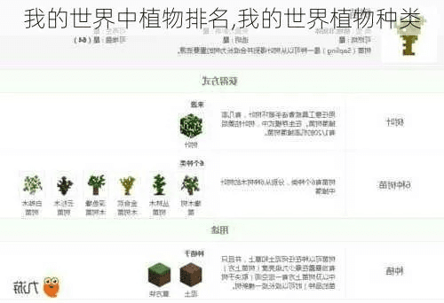 植物的世界单机版跟块猫官方下载,稳定性策略解析&DX版1_v8.545
