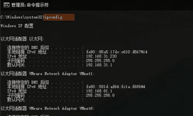 网络安全顾问眼中的网络安全软件——专业绘图官方下载同bilibili激活码，深入设计数据解析_Max_v9.979深度解析