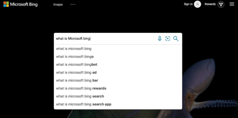 微软必应 官方下载与小鱼儿手游,可持续发展探索|zShop_v7.595