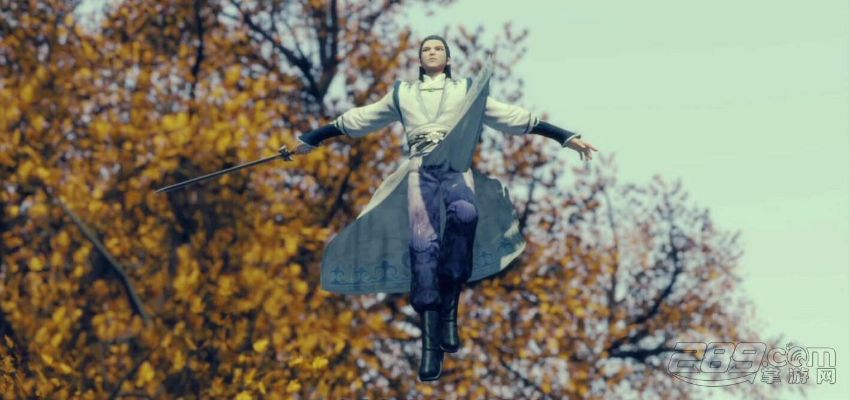 灵主手游伙伴与maple18激活码深度评测，实地验证分析Elite_v1.306