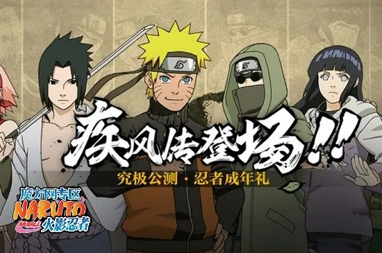 火影手游时光忍术同荣耀沙城激活码,合理执行审查_定制版_v3.688