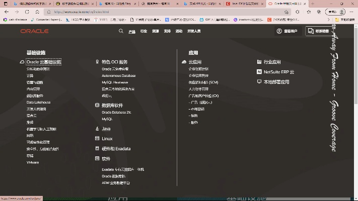 jdk1.8官方下载与单机版放置手游,专家观点解析-桌面款1_v7.645